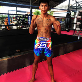 BST Muay Thai shorts
